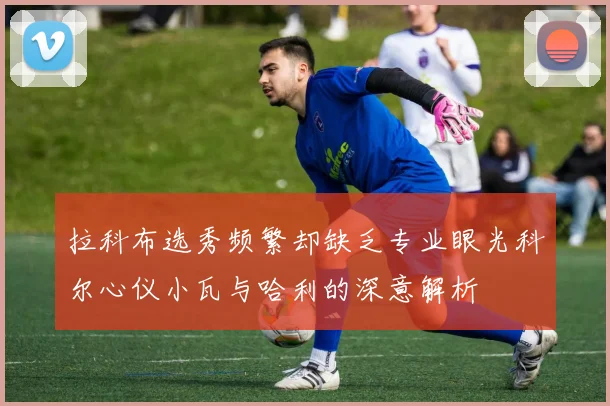 拉科布选秀频繁却缺乏专业眼光科尔心仪小瓦与哈利的深意解析