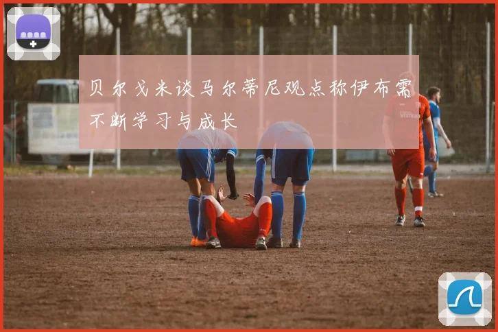 贝尔戈米谈马尔蒂尼观点称伊布需不断学习与成长