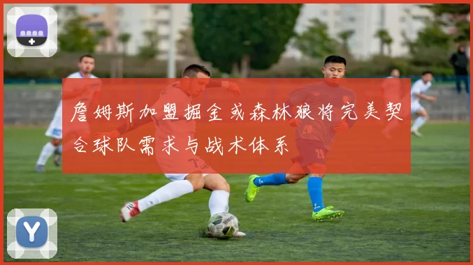 詹姆斯加盟掘金或森林狼将完美契合球队需求与战术体系